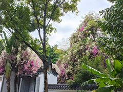 -深圳国际园林花卉博览园