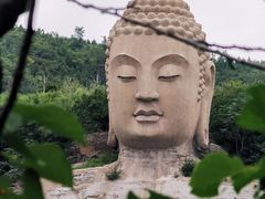 -蒙山大佛景区