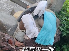-汉拿山温泉度假酒店