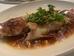 -东海朗廷酒店-唐阁T’ANG COURT 中餐厅