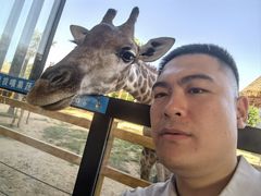 -西霞口神雕山野生动物世界