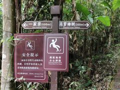 -海南热带雨林国家公园吊罗山景区