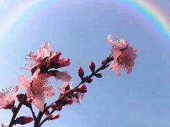 -美味之家·湖景农家乐(太湖东山店)