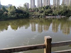 -龙头寺公园