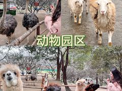 -秀丽东方