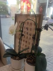 -U3日式美甲美睫