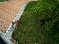 -北京园博大酒店