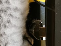 -H立方实景剧情密室(天河旗舰店)