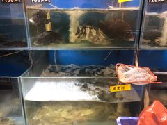 水产区-福建美食城(老君堂店)