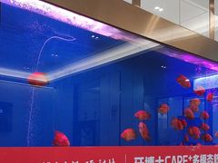 -牙博士口腔品牌连锁(杨浦店)