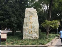 -灵谷景区