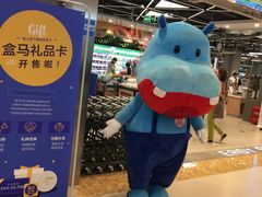 -盒马鲜生(宝地店)