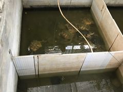 -龟场私房菜