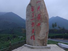 -帐篷客·溪龙茶谷度假酒店