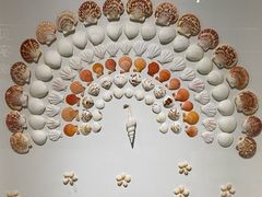 -青岛贝壳博物馆