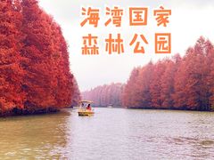 -上海海湾国家森林公园