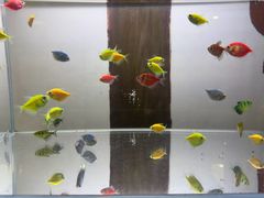 -精德口腔·种植修复·儿牙中心(财富中心店)