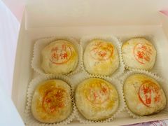 鲜肉月饼-沈大成(城隍庙店)