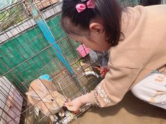 -前小桔亲子创意农场·草莓采摘·露营烧烤
