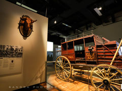 -墨尔本博物馆(Melbourne Museum)