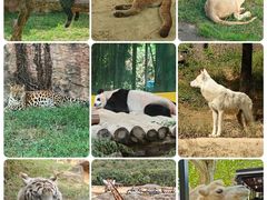 -杭州野生动物世界