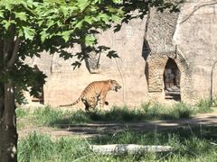 -秦皇岛野生动物园