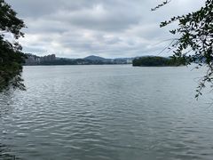 -宝荣鱼馆·临湖之宴(千岛湖店)