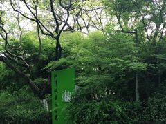 -西湖风景区-江洋畈生态公园