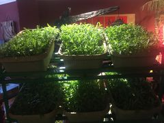 -大匠工房古船木艺术餐厅·猪肚鸡专门店(长白仙岛店)