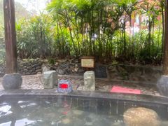 -明月山天沐温泉度假村