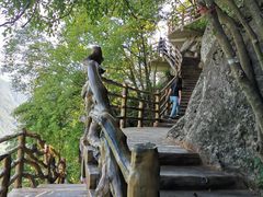 -陕西省红河谷森林公园