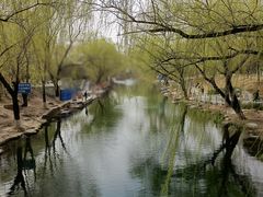 -南长河公园