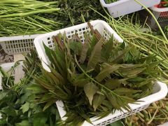 野菜-瑶河山里菜