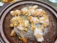 -邵年鸽(杨庄店)