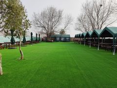 -亲兄弟真人CS团建拓展基地