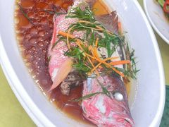 -锐记美食店·现捞海鲜(闸坡店)