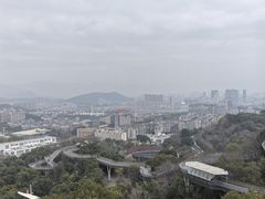 -福道