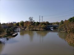 -上海长兴岛郊野公园