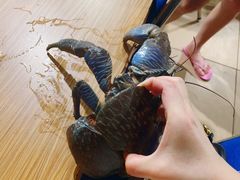 -海盗餐厅