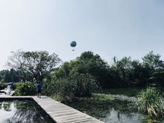 -西溪国家湿地公园