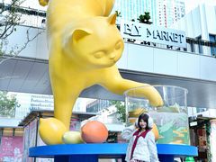 -深圳湾万象城(南山店)