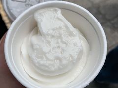 -洪馨椰子