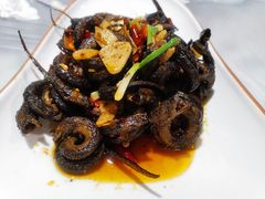 -龙小海荆沙鸽子店(瑞安街店)