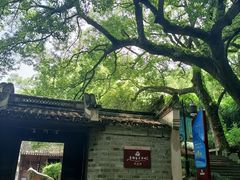 -宁波市保国寺古建筑博物馆