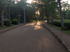 -白沙门生态公园