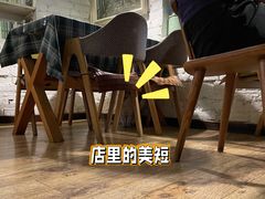 -不舍昼夜咖啡馆