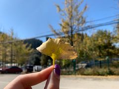 -山王坪喀斯特国家生态公园