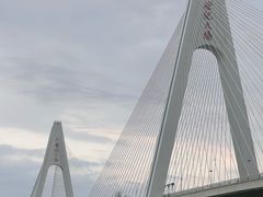 -万绿园