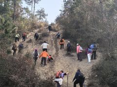 -青龙山国家森林公园