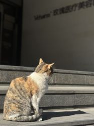 -上海玫瑰医疗美容医院